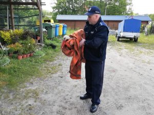 Policjant trzymający rannego bociana.